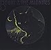 Bobby & The Midnights