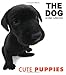 Book Cute Puppies (Dog Series)