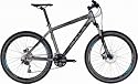 Bulls King Cobra Disc Herrenfahrrad 26 Zoll grau 47 cm MTB 30 Gang-Kettenschaltung 2012