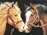 Paint By Number Kit 12X9-Horse Talk