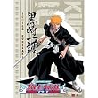 Bleach: Ichigo Kurosaki Anime Wall Scroll