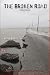 The Broken Road to Disaster Recovery
