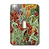 WhiteOak Photography Floral Prints - Autumn Mums-097 - Light Switch Covers - single toggle switch