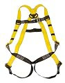 Guardian Fall Protection 00515 RIDG-TILE D-Ring Roof Anchor for Tile Roofs with Nails 18-Inch in Length and 2 D-rings