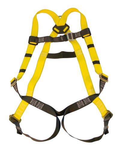 AO Safety 94021 Safewaze Five-Point Universal Harness
