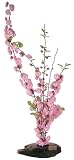 Ikebana Vase for Flower Arrangement Meditation