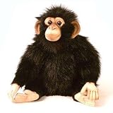 Plush Junior Chimp 12