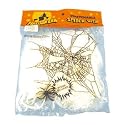 Halloween Party Props | Spider Web & Spider
