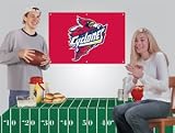 PKIAS Iowa State Party Kit - Model PKIAS NCAA Banner Flag