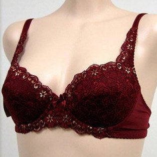 Jasmin 2 pack $56 RED Floral Lace Bra #2613