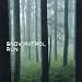 Top 5 Good Recent Indie Music