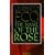 The Name of the Rose