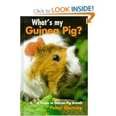 What's My Guinea Pig?