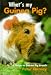 What's My Guinea Pig?
