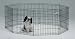 Midwest Black E-Coat Exercise Pen, 24 Inches by 30 Inches