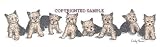 Yorkshire Terrier - Puppies in a Row by Cindy Farmer