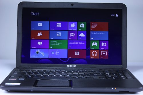Toshiba Satellite C855D-S5303 Laptop Computer / 15.6-inch HD Display Screen / AMD Dual-Gist E-300 1.3 GHz Processor / 2GB DDR3 RAM Memory / 320GB Solid Drive / Double-layer DVD�RW / 6-apartment Battery / Webcam / Windows 8 / Satin Malignant