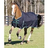 PRO PAC LARGE BREED ADULT DOG