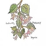 Review Caitlin Cary  / Begonias