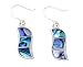 Ladies' Abalone Drop Earrings, Silver, Model A66/NKE41003