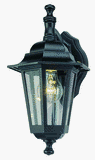 Westinghouse #67846 Single Light Black Lantern