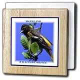 Maryland State Bird Baltimore Oriole - 6 Inch Tile Napkin Holder