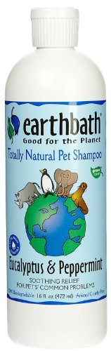 Earthbath Eucalyptus & Peppermint - 16 oz