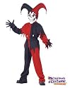 Kids Evil Jester Costume - Manufacturers Pick!