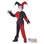 Kids Evil Jester Costume - Manufacturers Pick!