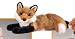 Stuffed Roxy Red Fox