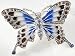 Jewelry : Monet Ombre Butterfly Pin MULTI