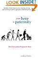 From Here to Paternity: The Diary of a Pregnant Man