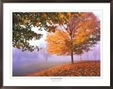 Autumn Mist Collections Framed Art Poster Print by Mike Jones, 30x24