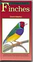 A Petlove Guide to Finches