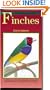 A Petlove Guide to Finches