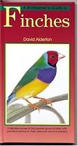 A Petlove Guide to Finches