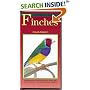 A Petlove Guide to Finches