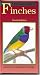 A Petlove Guide to Finches