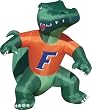 Florida Gators Albert Inflatable Image