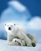 Polar Bear and Baby poster print,16 in. x 20 in.