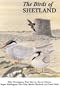 Birds of Shetland (Helm County Avifauna)