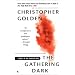 The Gathering Dark (The Shadow Saga, Book 4)