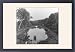 Framed Prints of Fishing in a pond, Abbotsbury Castle gardens, Dorset from Mary Evans