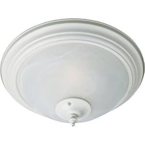 2-Light Ceiling Fan Light Kit with Wattage Limiter by 