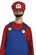 Deluxe Mario Hat