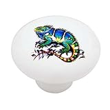 Marine Iguana Decorative High Gloss Ceramic Drawer Knob