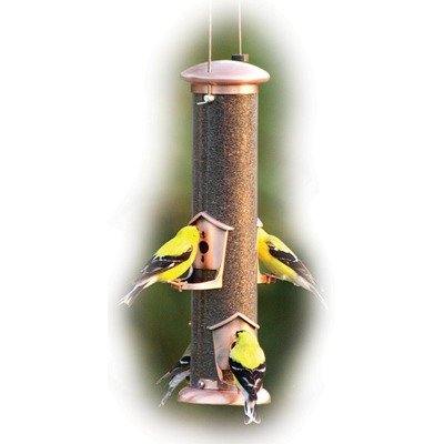 4 Port Thistle Feeder Brushed Copper