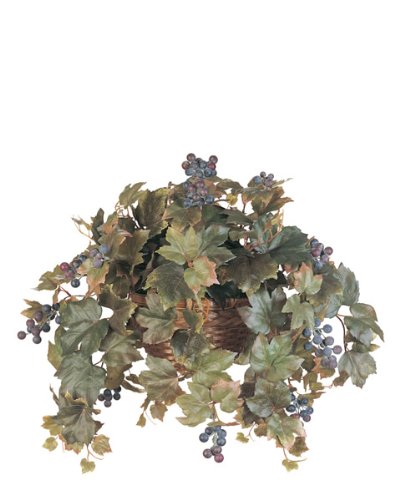 All Season Grape Leaf Hanging Basket Silk Plant