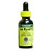 Nature's Answer Saw Palmetto Berry, 1-Ounce