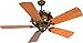 Craftmade K10767 Toscana 56" Ceiling Fan with 77 Watts Light Kit and Pull Chain, 5 ABS Blades, Peruvian Bronze